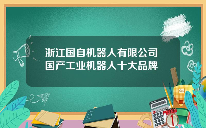 浙江国自机器人有限公司 国产工业机器人十大品牌